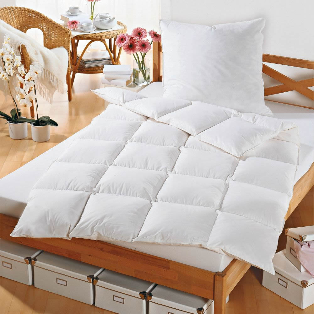 P��ov� Pol�t�� - Pe�� - Canada Dream - Pevn�